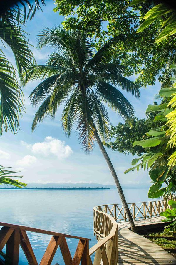 Banana Palms Hotel ริโอดุลเซ ภายนอก รูปภาพ